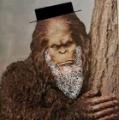 TheAmishSasquatch's Avatar