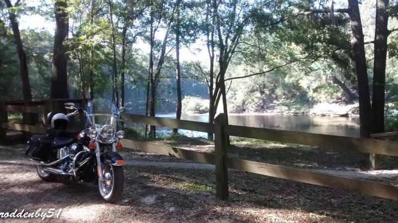 Anderson Springs @ Suwannee River